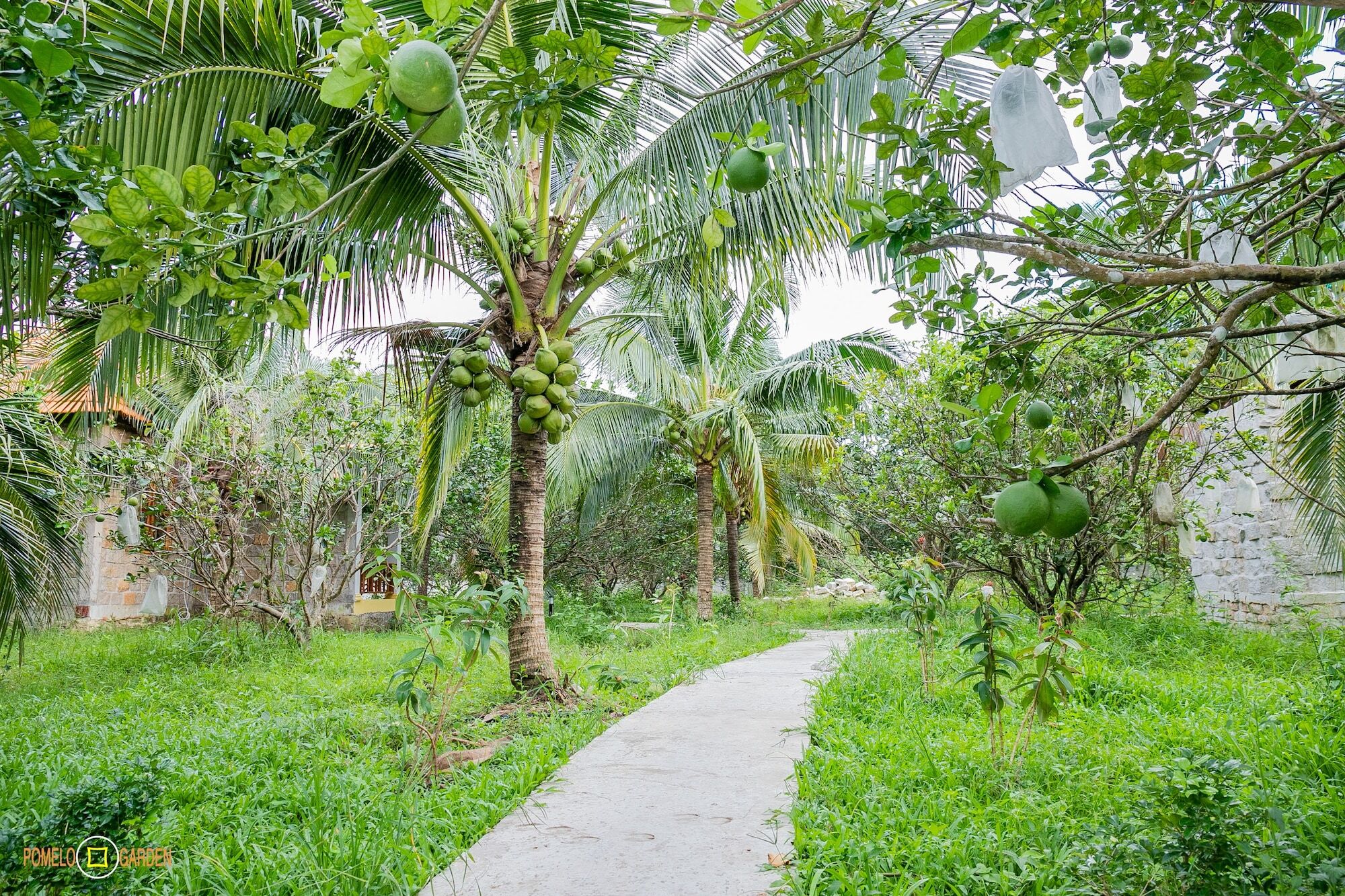 شقة Phu Quoc Pomelo Garden المظهر الخارجي الصورة